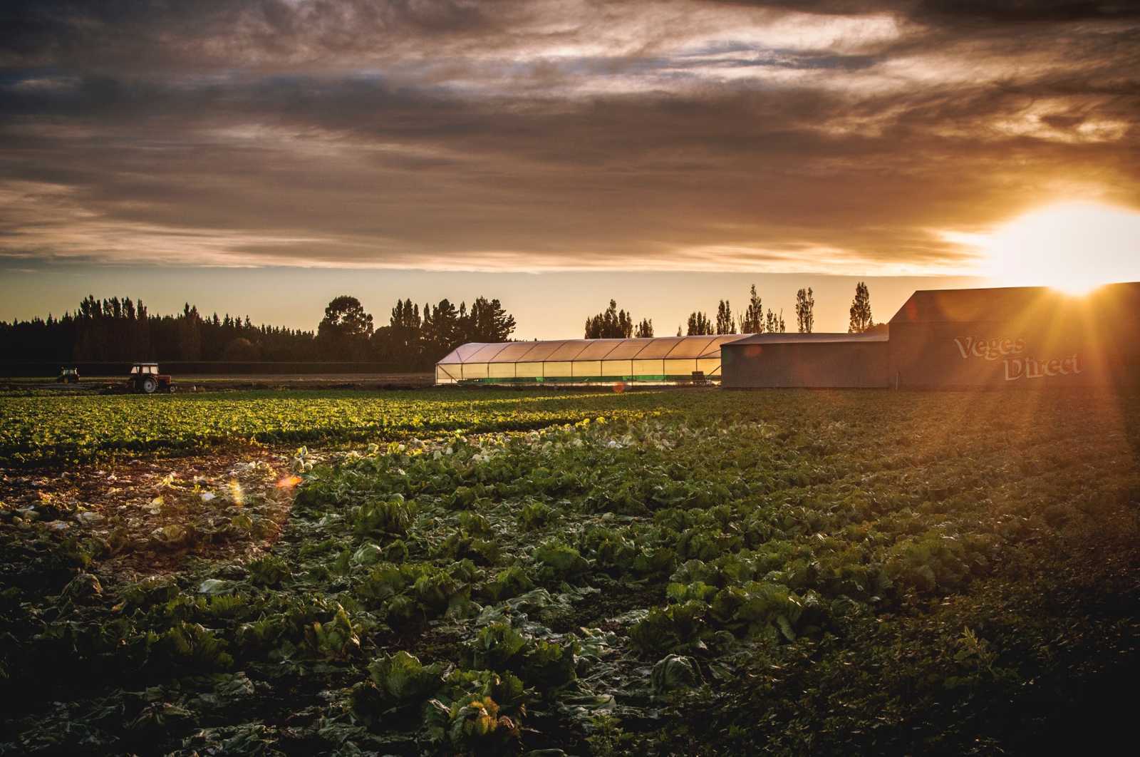 ALL FARMERS CREDIT UNION 